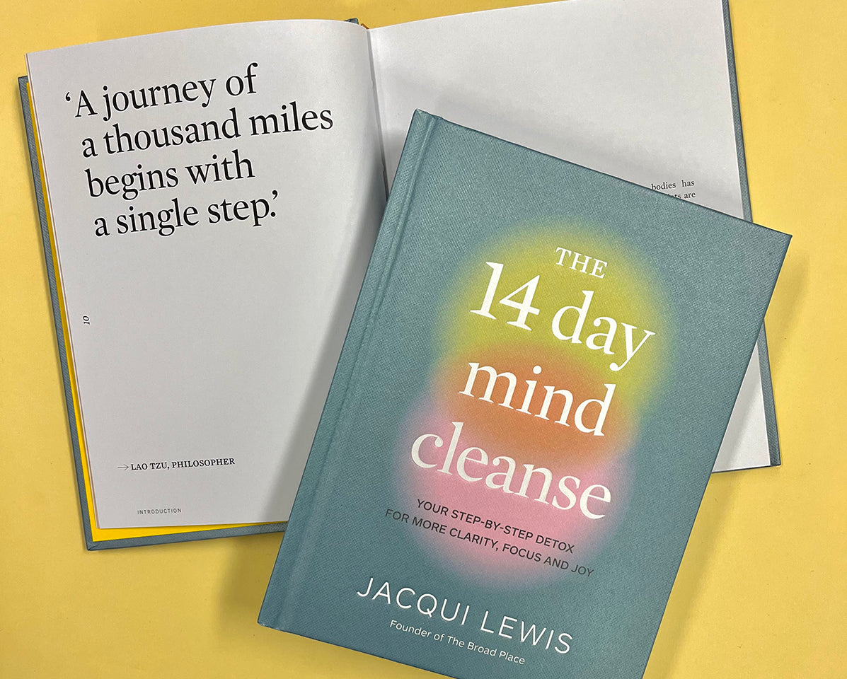 The 14 Day Mind Cleanse: Your step-by-step detox for more clarity, focus and joy