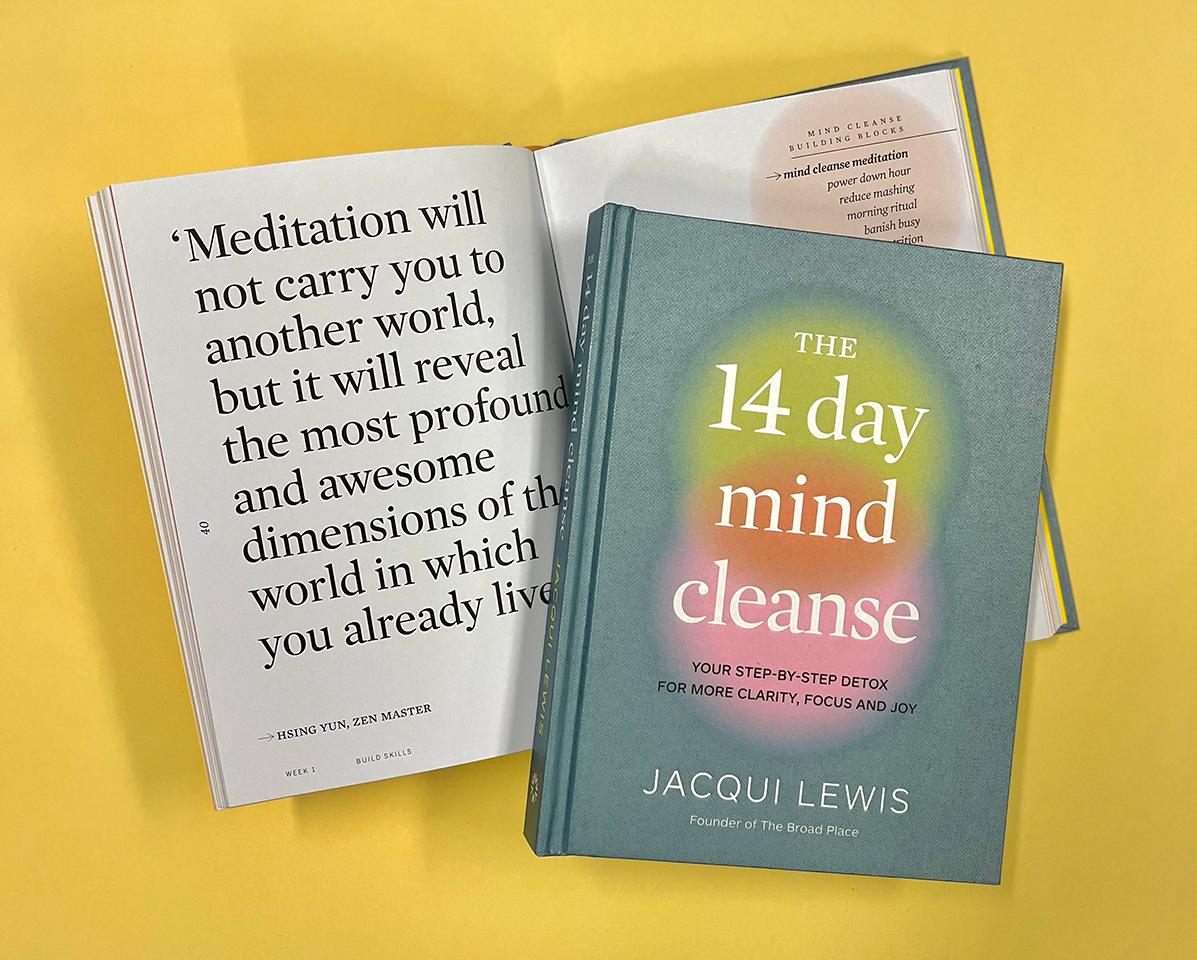 The 14 Day Mind Cleanse: Your step-by-step detox for more clarity, focus and joy