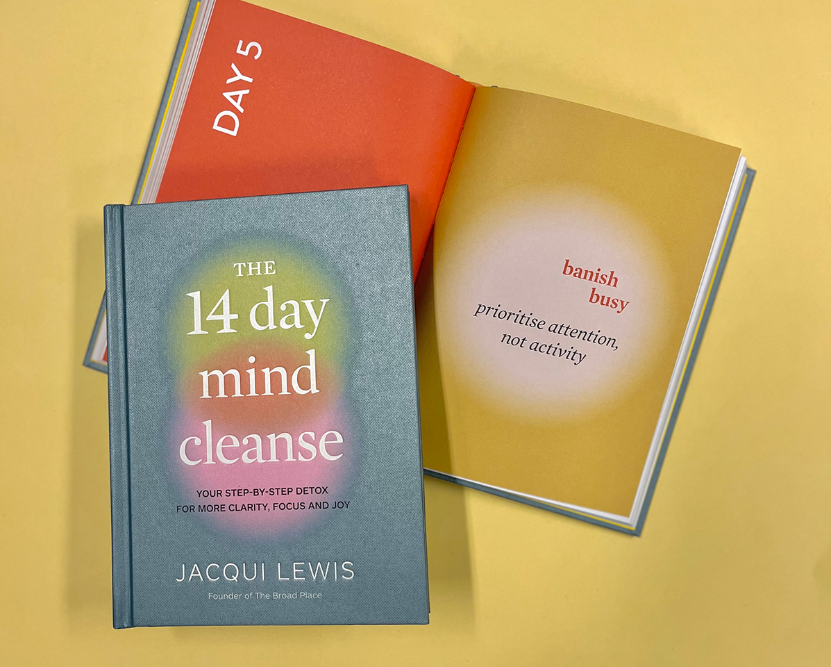 The 14 Day Mind Cleanse: Your step-by-step detox for more clarity, focus and joy